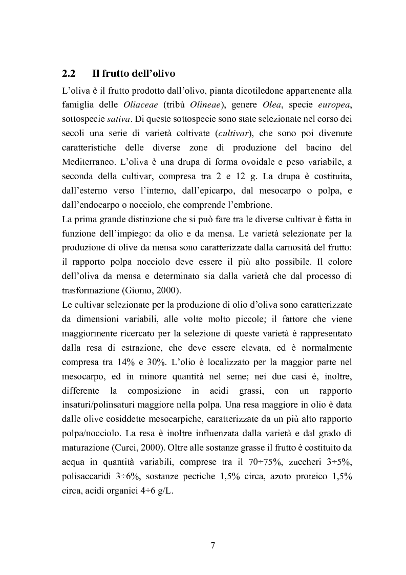 Anteprima della tesi: Valutazione della qualità di oli extravergini di oliva, ottenuti con diverse tecniche di estrazione, in relazione al contenuto di sotanze a struttura fenolica, Pagina 7
