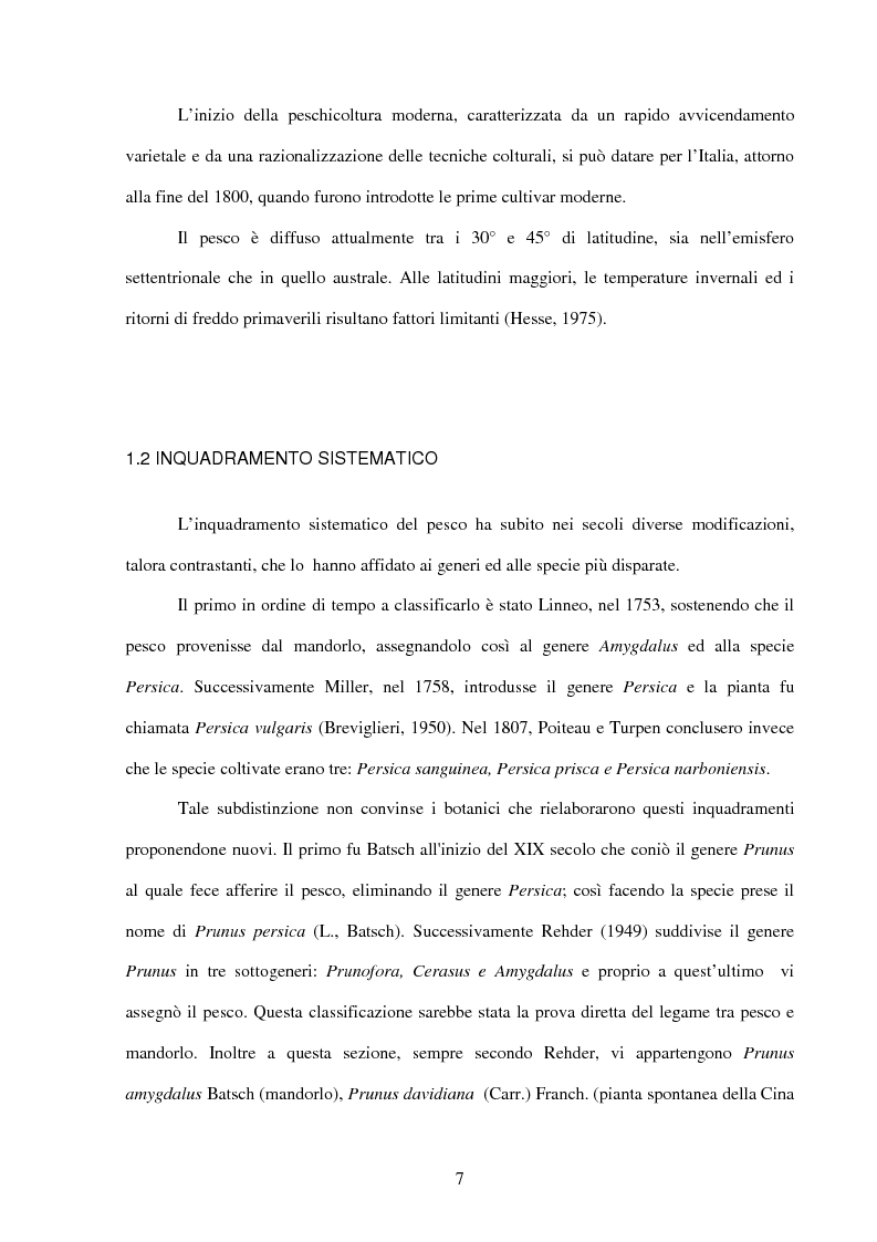 Anteprima della tesi: Valutazione della resistenza a Taphrina deformans di genotipi di pesco ottenuti presso il Dipartimento di Ortoflorofrutticoltura di Firenze, in due differenti ambienti climatici della Toscana, Pagina 3