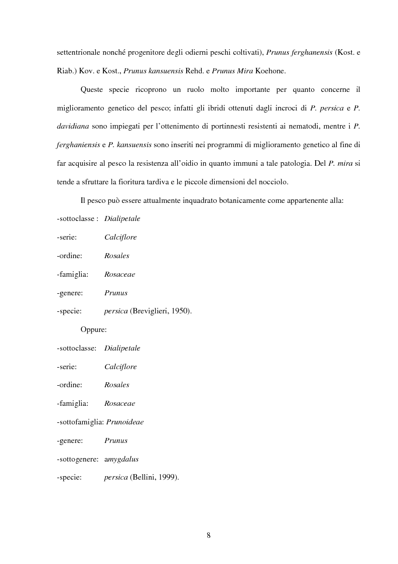 Anteprima della tesi: Valutazione della resistenza a Taphrina deformans di genotipi di pesco ottenuti presso il Dipartimento di Ortoflorofrutticoltura di Firenze, in due differenti ambienti climatici della Toscana, Pagina 4