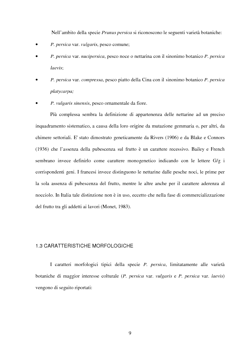 Anteprima della tesi: Valutazione della resistenza a Taphrina deformans di genotipi di pesco ottenuti presso il Dipartimento di Ortoflorofrutticoltura di Firenze, in due differenti ambienti climatici della Toscana, Pagina 5