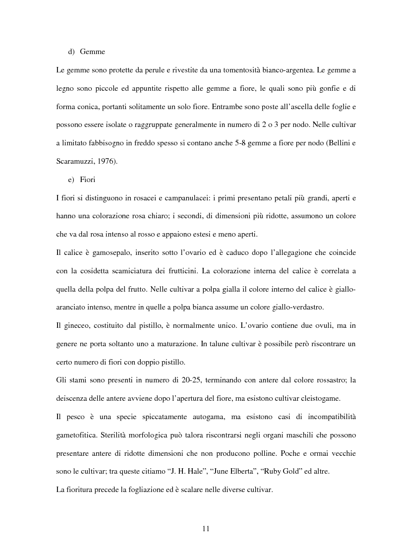 Anteprima della tesi: Valutazione della resistenza a Taphrina deformans di genotipi di pesco ottenuti presso il Dipartimento di Ortoflorofrutticoltura di Firenze, in due differenti ambienti climatici della Toscana, Pagina 7