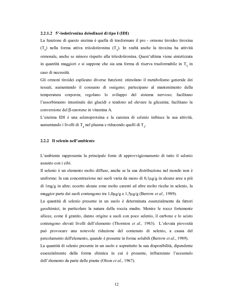 Anteprima della tesi: Accumulo di selenio da parte di specie di Lactobacillus, Pagina 10