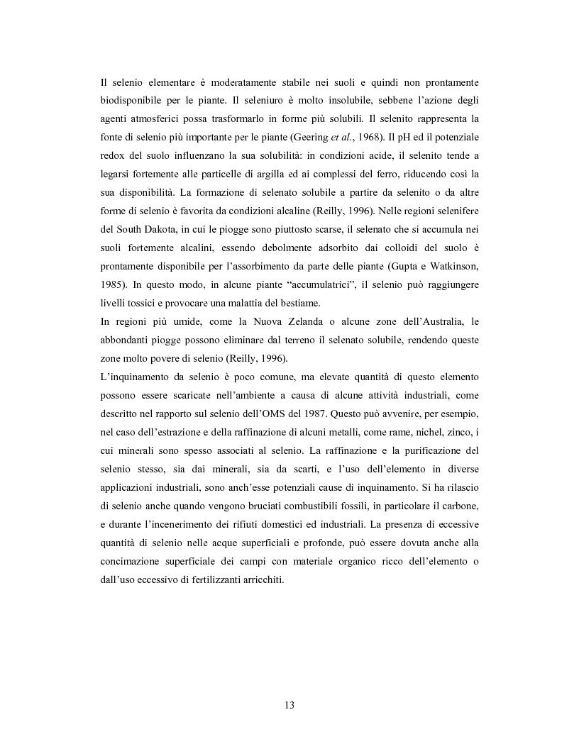 Anteprima della tesi: Accumulo di selenio da parte di specie di Lactobacillus, Pagina 11