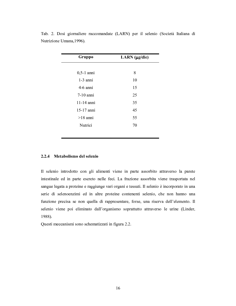 Anteprima della tesi: Accumulo di selenio da parte di specie di Lactobacillus, Pagina 14