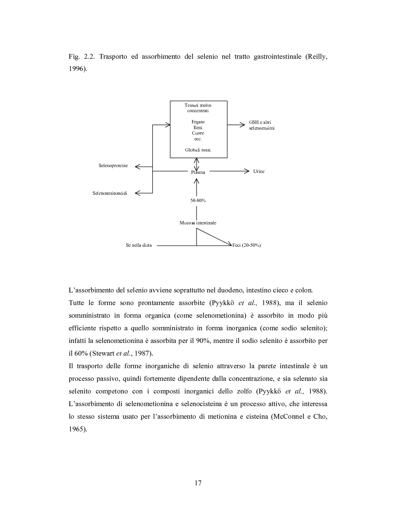 Anteprima della tesi: Accumulo di selenio da parte di specie di Lactobacillus, Pagina 15