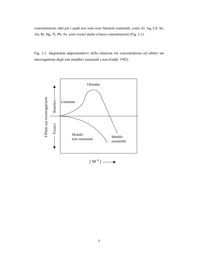 Anteprima della tesi: Accumulo di selenio da parte di specie di Lactobacillus, Pagina 3