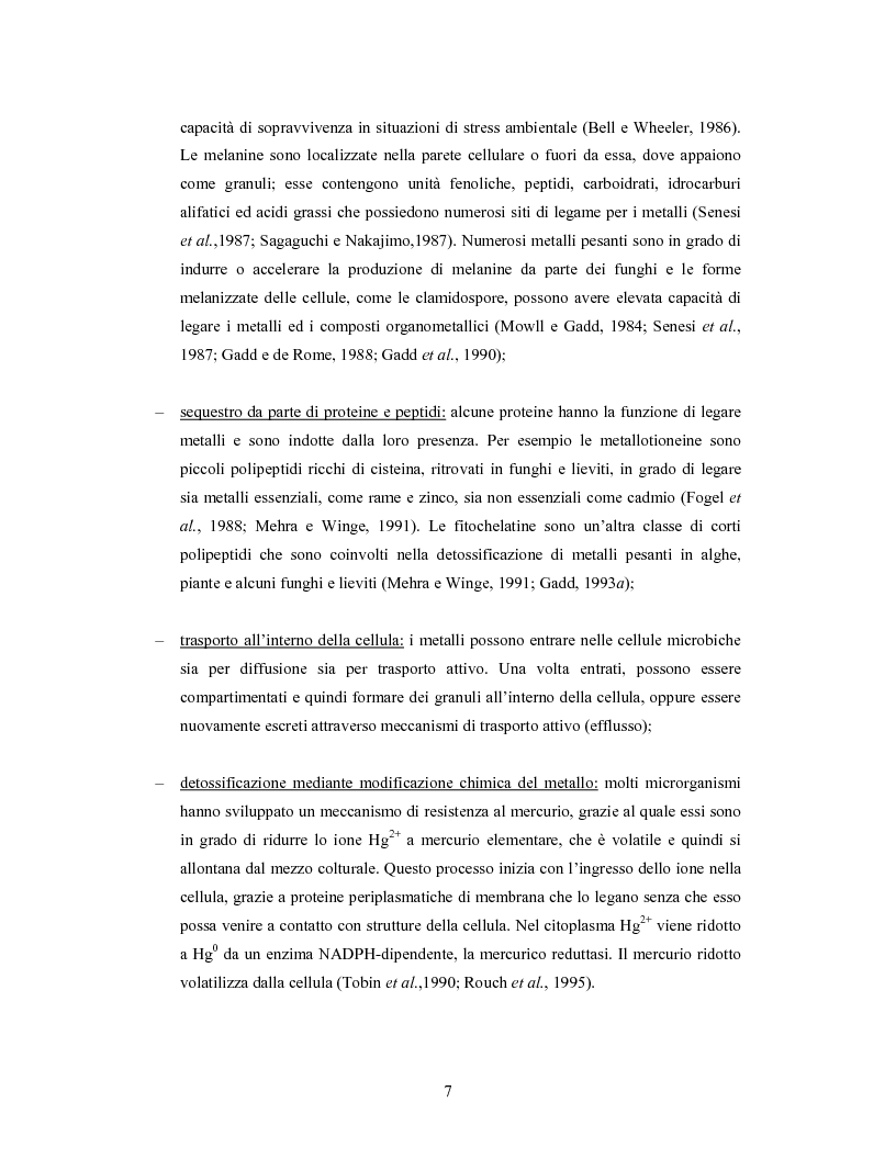 Anteprima della tesi: Accumulo di selenio da parte di specie di Lactobacillus, Pagina 5