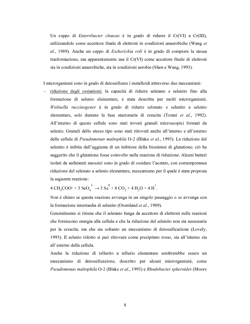 Anteprima della tesi: Accumulo di selenio da parte di specie di Lactobacillus, Pagina 6