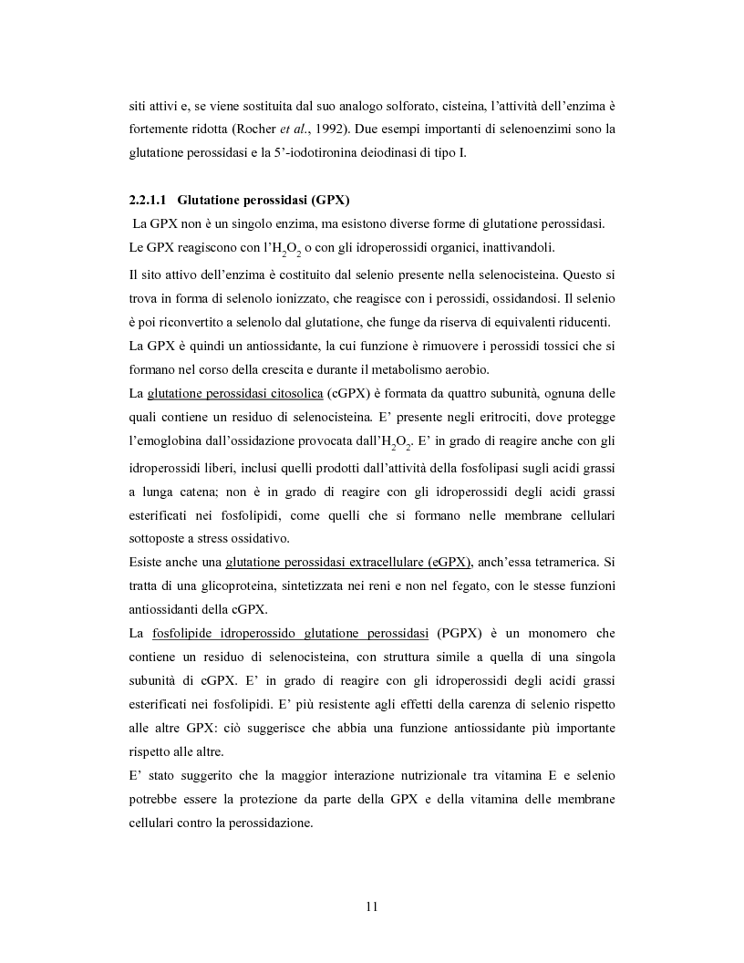 Anteprima della tesi: Accumulo di selenio da parte di specie di Lactobacillus, Pagina 9
