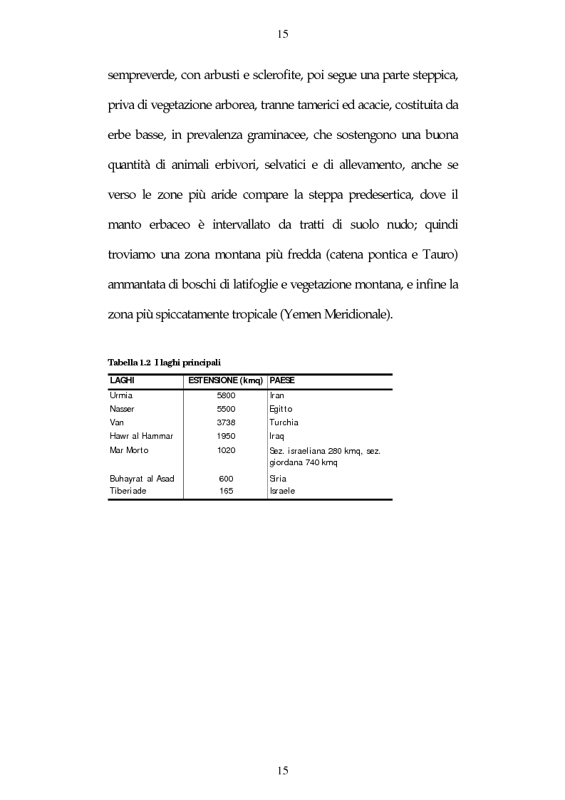 Anteprima della tesi: Israele: aspetti e problemi di uno stato piccolo con una nazione molto estesa, Pagina 15
