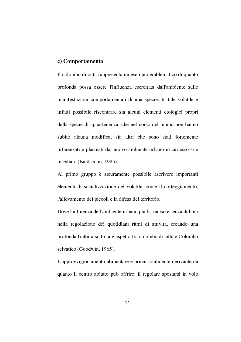 Anteprima della tesi: Ricerche ed osservazioni sullo stato sanitario dei colombi della Città di Palo del Colle, Pagina 10