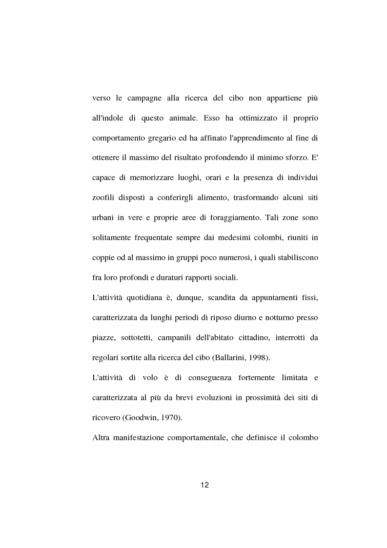 Anteprima della tesi: Ricerche ed osservazioni sullo stato sanitario dei colombi della Città di Palo del Colle, Pagina 11