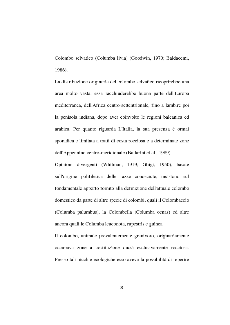 Anteprima della tesi: Ricerche ed osservazioni sullo stato sanitario dei colombi della Città di Palo del Colle, Pagina 2
