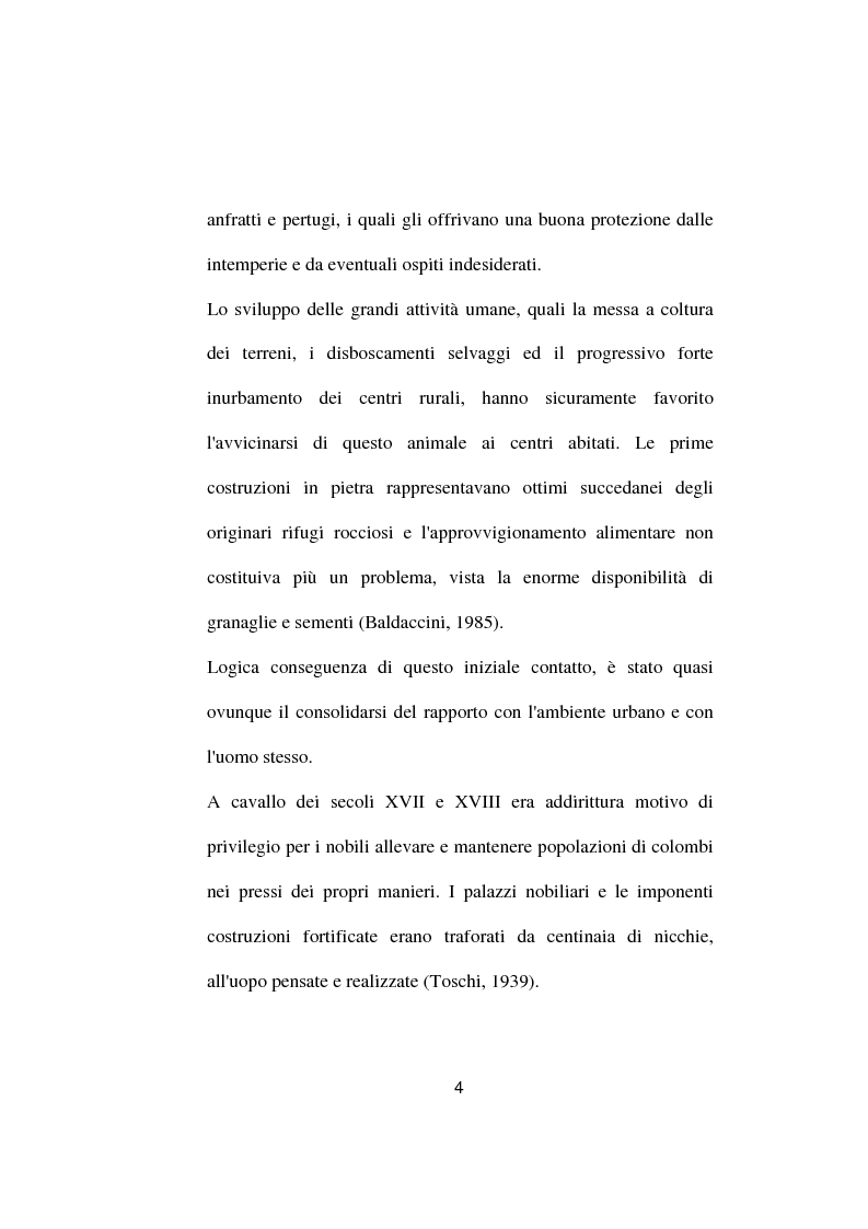 Anteprima della tesi: Ricerche ed osservazioni sullo stato sanitario dei colombi della Città di Palo del Colle, Pagina 3