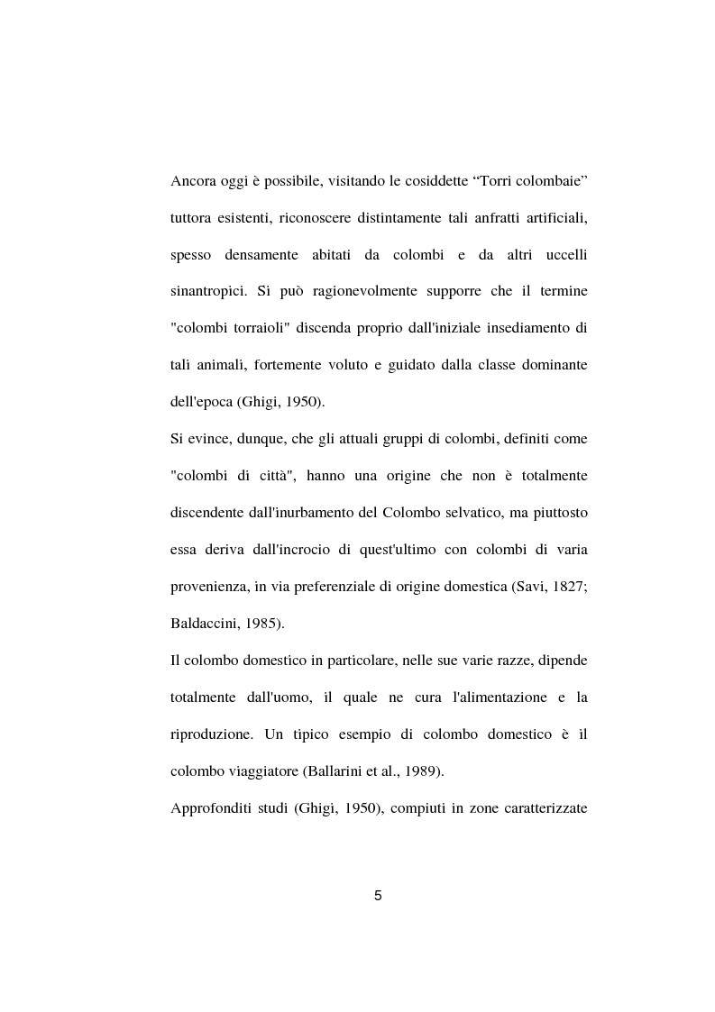 Anteprima della tesi: Ricerche ed osservazioni sullo stato sanitario dei colombi della Città di Palo del Colle, Pagina 4