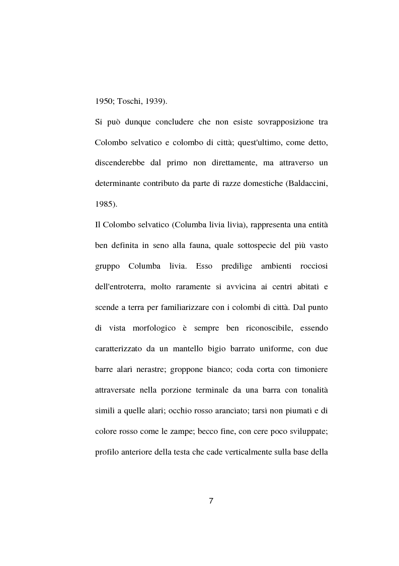 Anteprima della tesi: Ricerche ed osservazioni sullo stato sanitario dei colombi della Città di Palo del Colle, Pagina 6