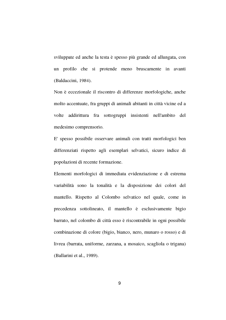 Anteprima della tesi: Ricerche ed osservazioni sullo stato sanitario dei colombi della Città di Palo del Colle, Pagina 8