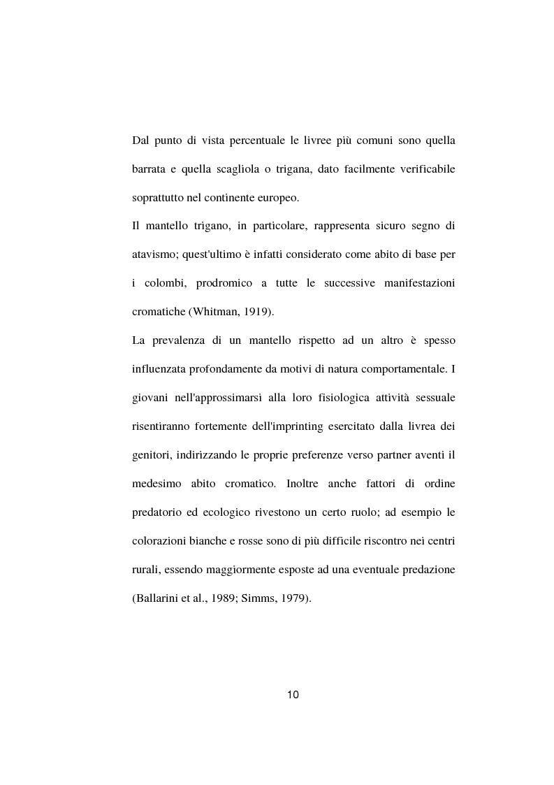Anteprima della tesi: Ricerche ed osservazioni sullo stato sanitario dei colombi della Città di Palo del Colle, Pagina 9