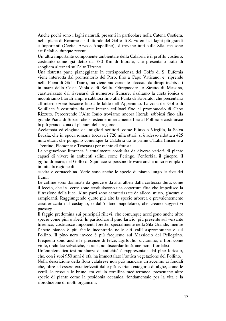 Anteprima della tesi: Per un modello di sviluppo della Calabria fondato sull'ecoturismo, Pagina 7