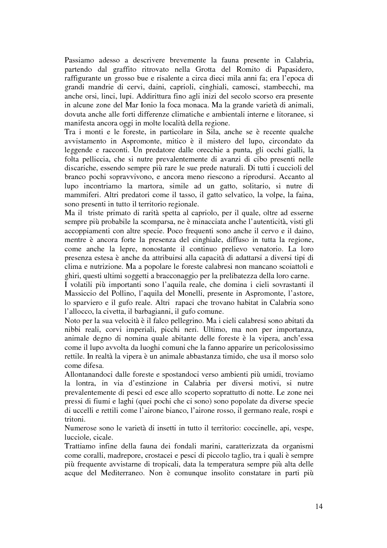 Anteprima della tesi: Per un modello di sviluppo della Calabria fondato sull'ecoturismo, Pagina 8