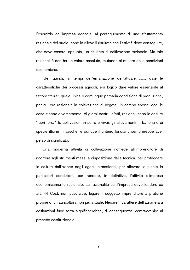 Anteprima della tesi: La delimitazione della fattispecie impresa agricola, Pagina 3