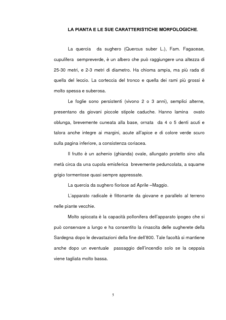 Anteprima della tesi: Sughereta di nuovo impianto nell'Altopiano di Quirra (Sardegna sud-orientale), Pagina 3