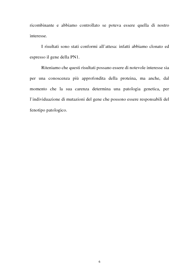 Anteprima della tesi: Pirimidina 5' nucleotidasi da eritrocita umano: clonaggio ed espressione del cdna, Pagina 2