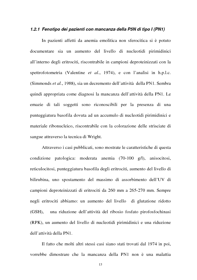 Anteprima della tesi: Pirimidina 5' nucleotidasi da eritrocita umano: clonaggio ed espressione del cdna, Pagina 9