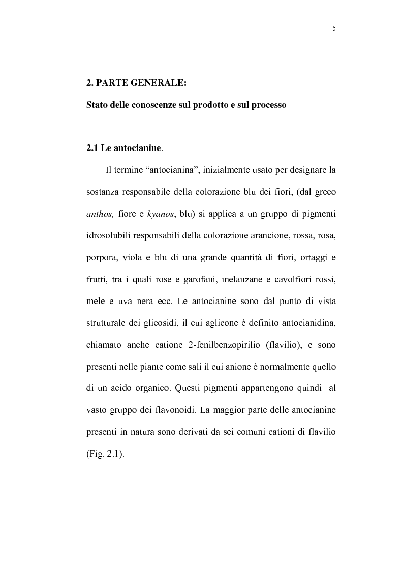 Anteprima della tesi: Recupero di antocianine da pulp wash di arance pigmentate mediante adsorbimento su resine, Pagina 5