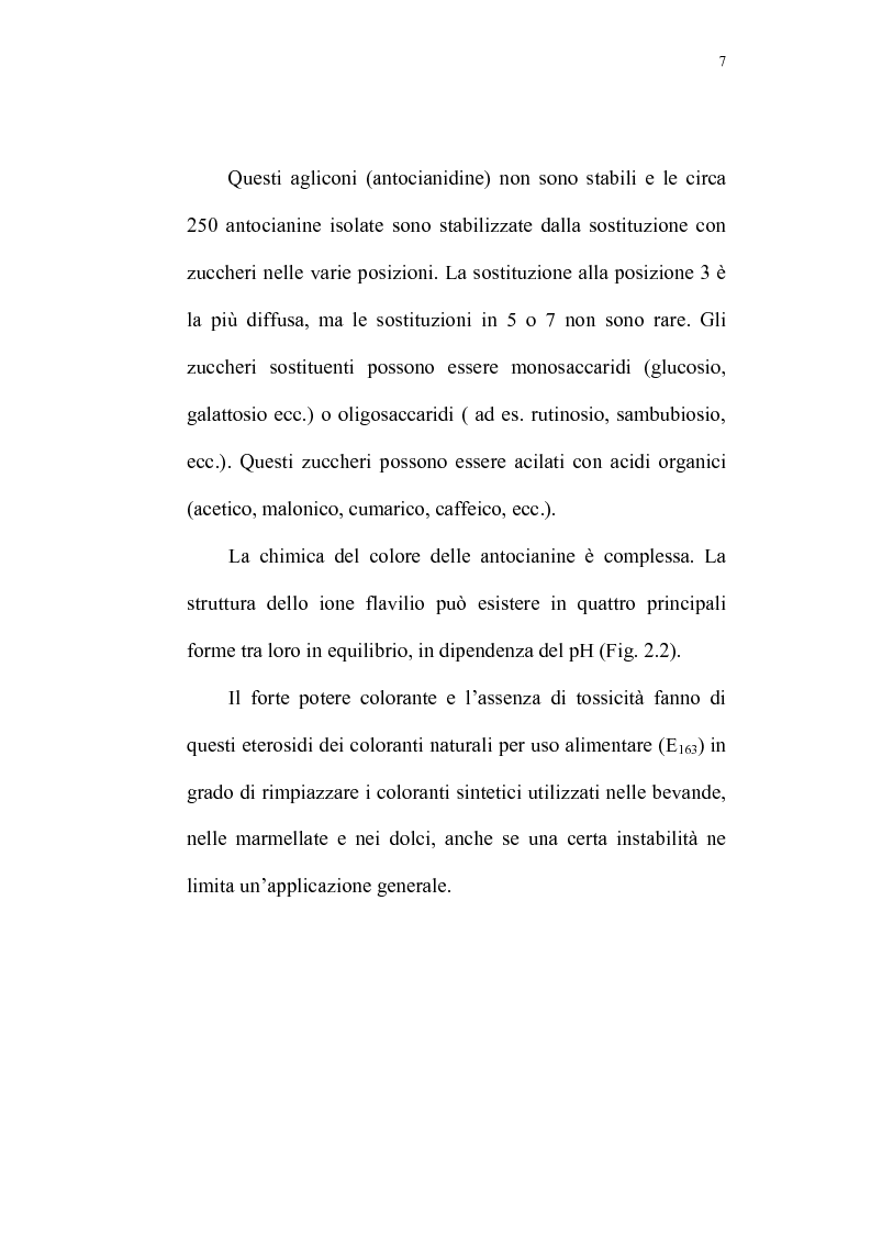 Anteprima della tesi: Recupero di antocianine da pulp wash di arance pigmentate mediante adsorbimento su resine, Pagina 7
