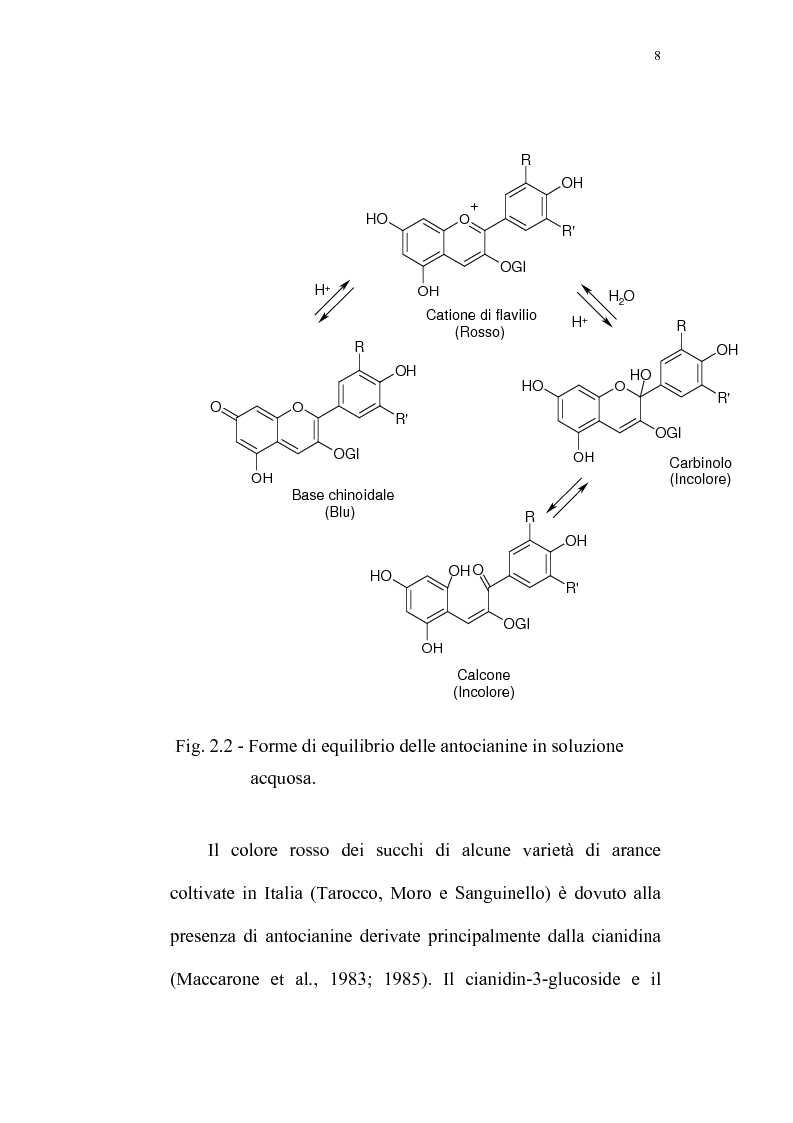 Anteprima della tesi: Recupero di antocianine da pulp wash di arance pigmentate mediante adsorbimento su resine, Pagina 8
