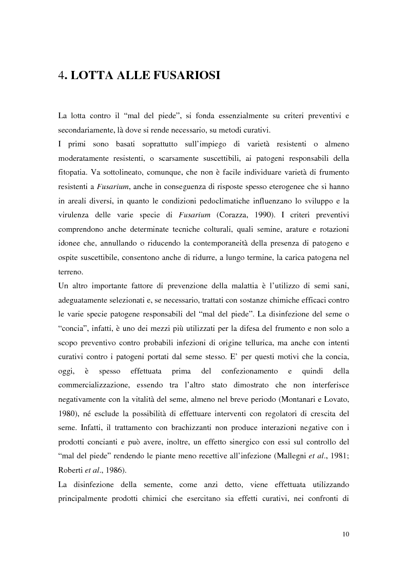Anteprima della tesi: Aspetti dell'interazione di Gliocladium roseum e Trichoderma spp. con Fusarium culmorum e frumento, Pagina 10