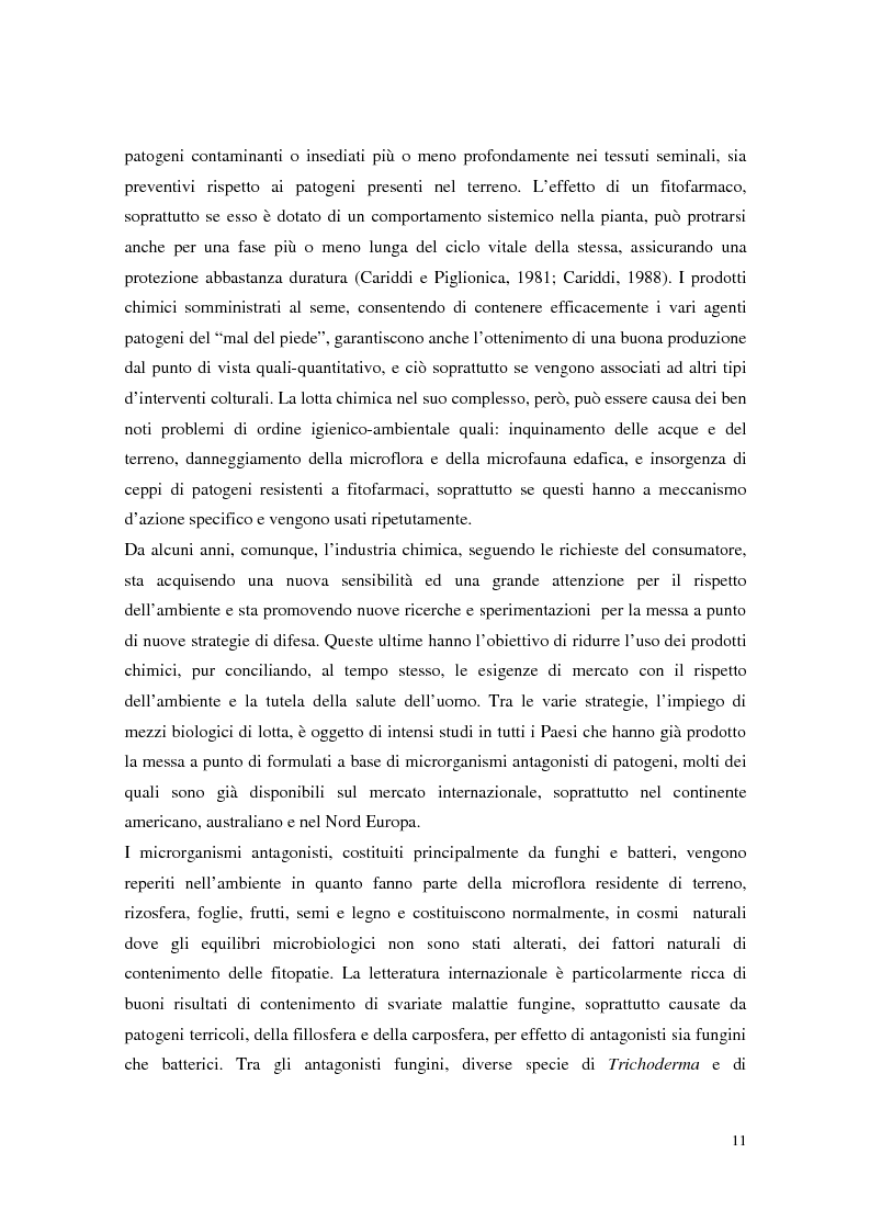 Anteprima della tesi: Aspetti dell'interazione di Gliocladium roseum e Trichoderma spp. con Fusarium culmorum e frumento, Pagina 11