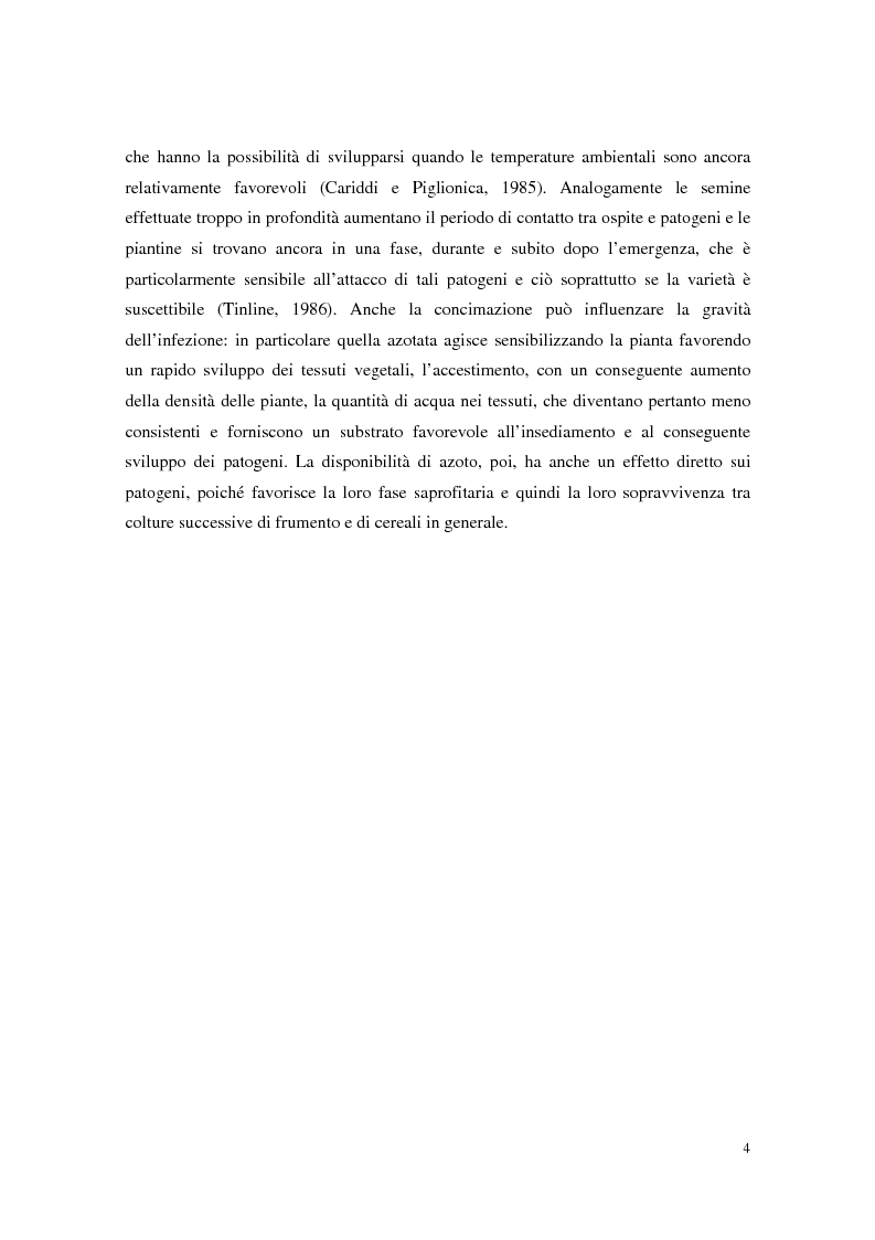 Anteprima della tesi: Aspetti dell'interazione di Gliocladium roseum e Trichoderma spp. con Fusarium culmorum e frumento, Pagina 4