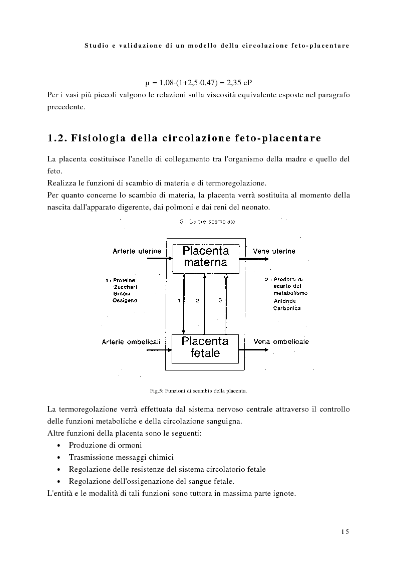 Anteprima della tesi: Studio e validazione di un modello di circolazione fetoplacentare, Pagina 11