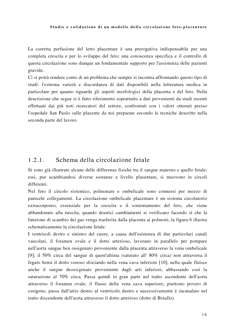 Anteprima della tesi: Studio e validazione di un modello di circolazione fetoplacentare, Pagina 12