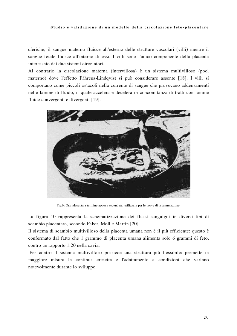Anteprima della tesi: Studio e validazione di un modello di circolazione fetoplacentare, Pagina 16