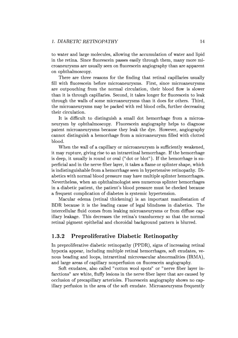 Anteprima della tesi: Computer Aided Diagnosis in Ocular Fundus Imaging, Pagina 10