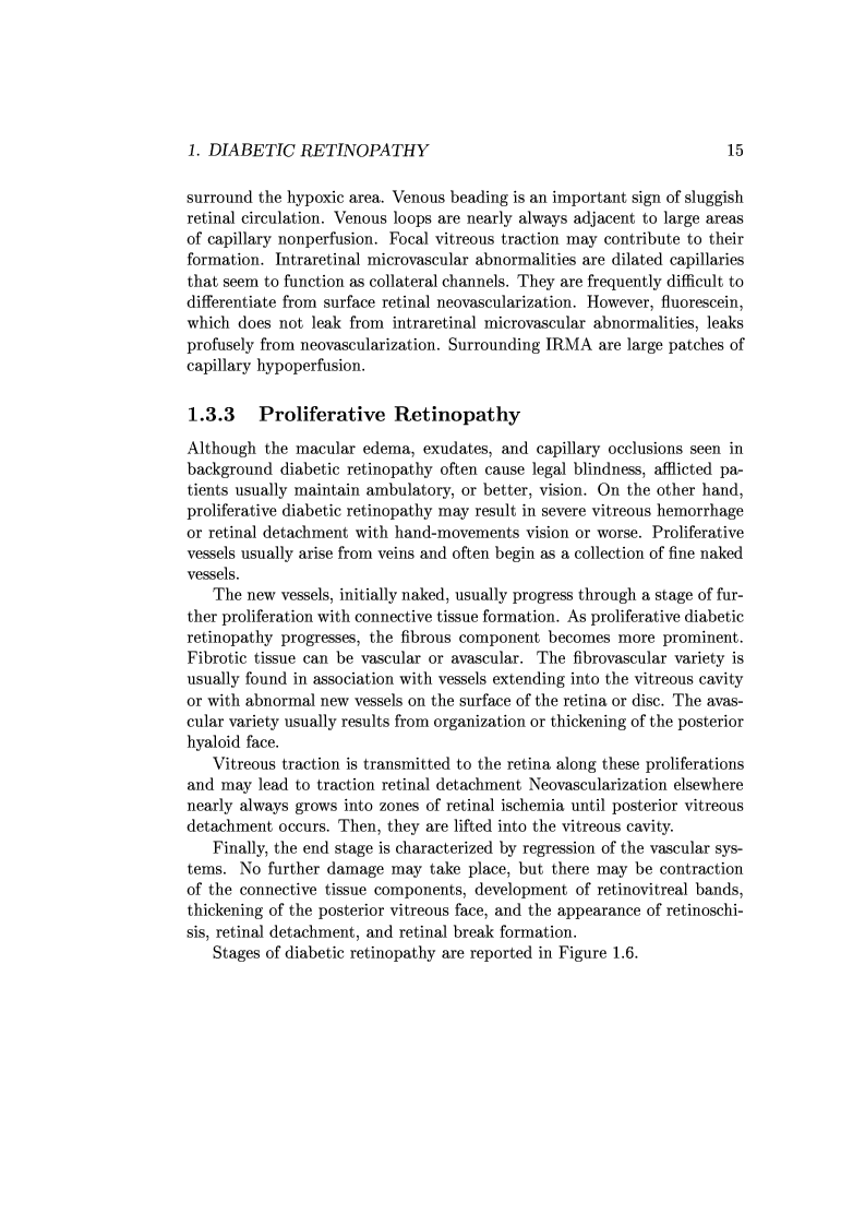 Anteprima della tesi: Computer Aided Diagnosis in Ocular Fundus Imaging, Pagina 11