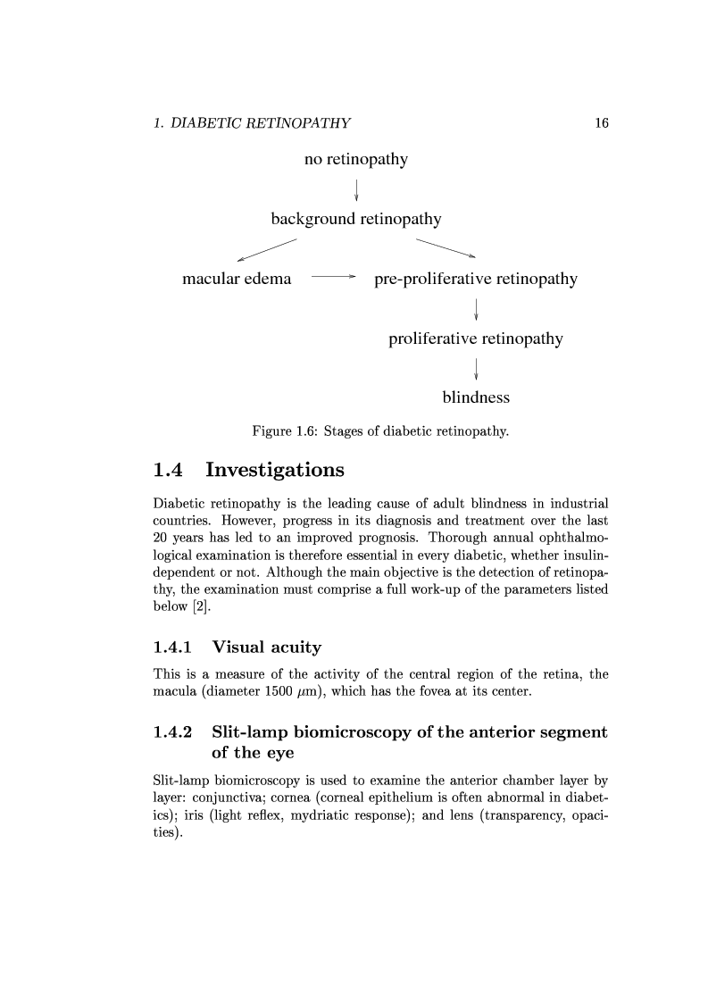 Anteprima della tesi: Computer Aided Diagnosis in Ocular Fundus Imaging, Pagina 12