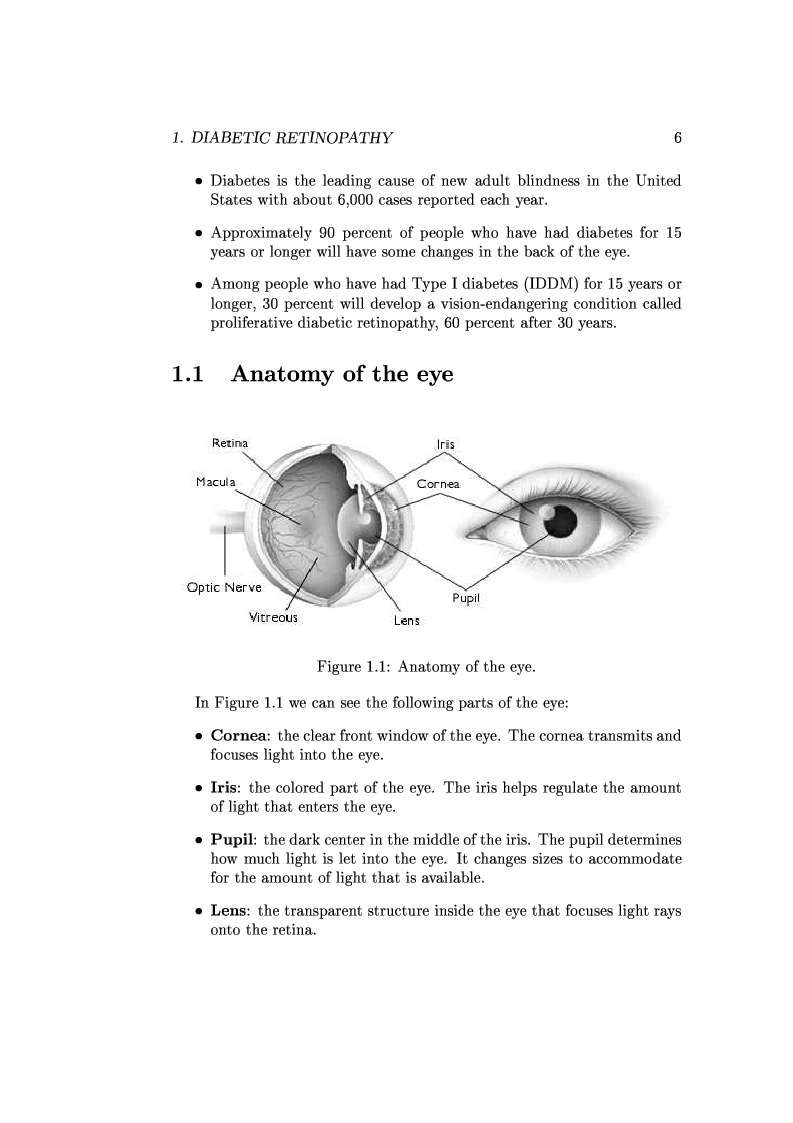 Anteprima della tesi: Computer Aided Diagnosis in Ocular Fundus Imaging, Pagina 2