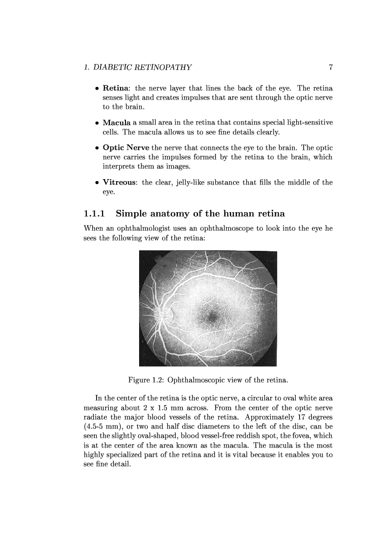 Anteprima della tesi: Computer Aided Diagnosis in Ocular Fundus Imaging, Pagina 3