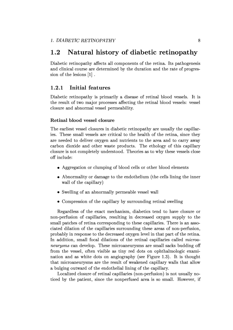 Anteprima della tesi: Computer Aided Diagnosis in Ocular Fundus Imaging, Pagina 4