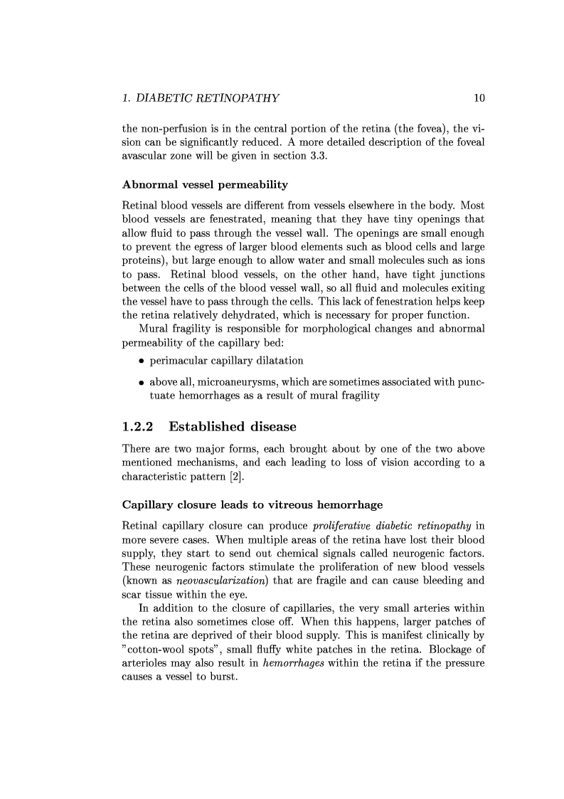 Anteprima della tesi: Computer Aided Diagnosis in Ocular Fundus Imaging, Pagina 6