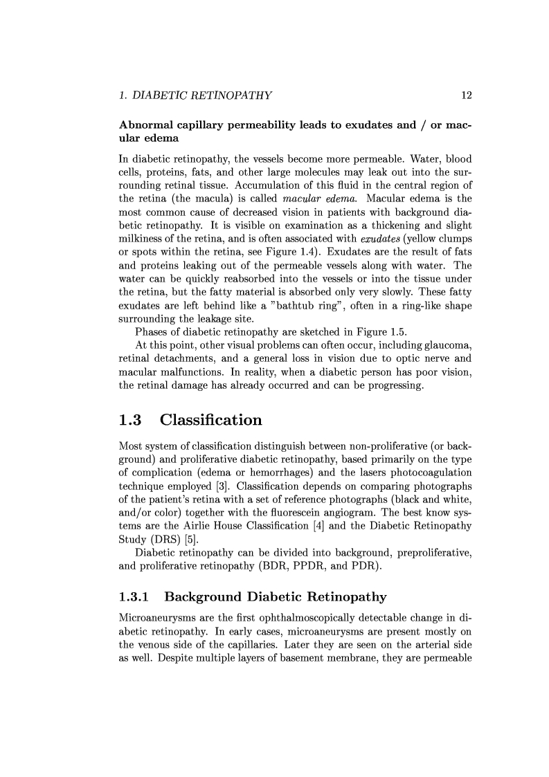 Anteprima della tesi: Computer Aided Diagnosis in Ocular Fundus Imaging, Pagina 8