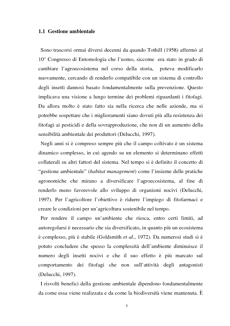 Anteprima della tesi: Influenza delle zone non coltivate sul ciclo degli insetti predatori, Pagina 3