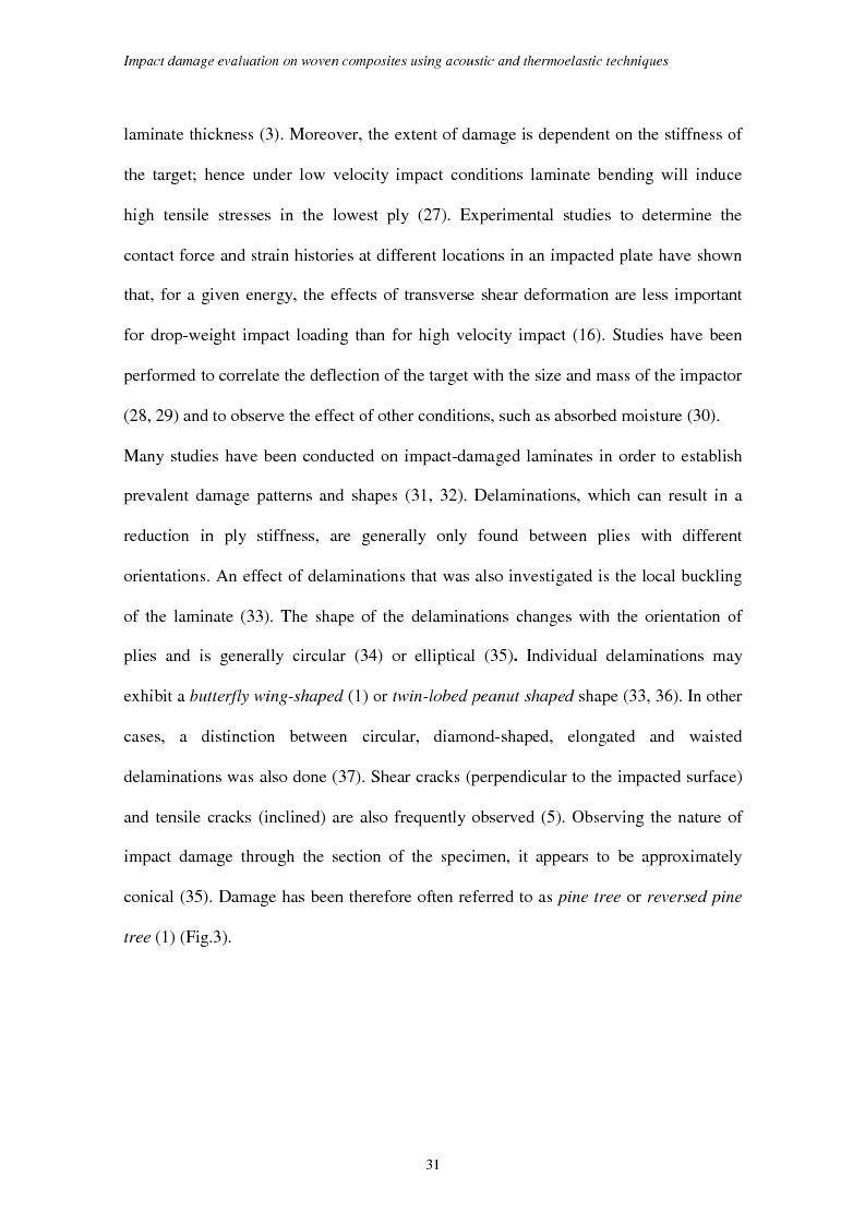 Anteprima della tesi: Impact damage evaluation in woven composites using acoustic and thermoelastic techniques, Pagina 13
