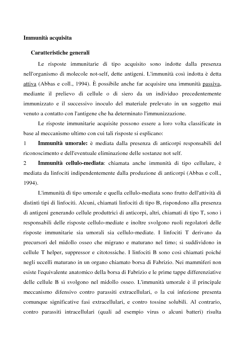 Estratto dalla tesi: Mastociti e cellule dendritiche della cute e delle mucose analisi morfologiche e funzionali in condizioni normali e sperimentali