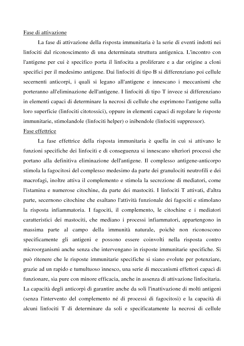 Anteprima della tesi: Mastociti e cellule dendritiche della cute e delle mucose analisi morfologiche e funzionali in condizioni normali e sperimentali, Pagina 10