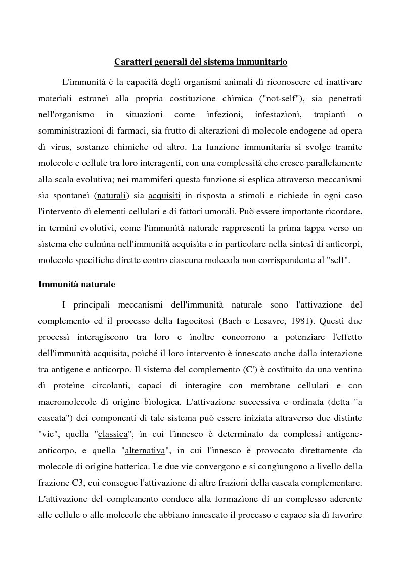 Anteprima della tesi: Mastociti e cellule dendritiche della cute e delle mucose analisi morfologiche e funzionali in condizioni normali e sperimentali, Pagina 5
